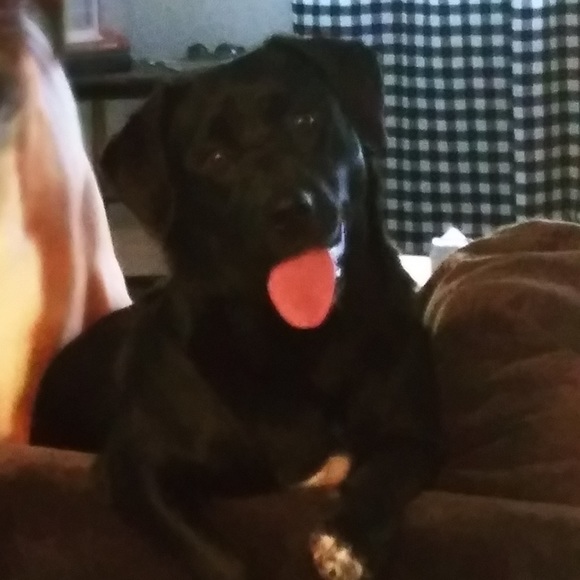 HELLO GORGEOUS! - Picture 10 of 14